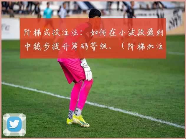 阶梯式投注法：如何在小波段盈利中稳步提升筹码等级。（阶梯加注策略：在短波段盈利中逐步提升筹码档位）
