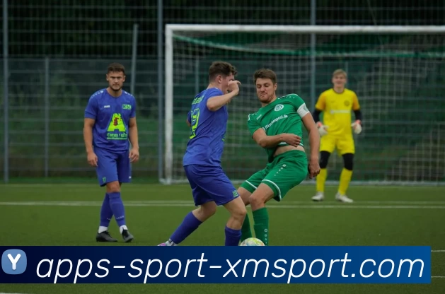 App Interface Preview